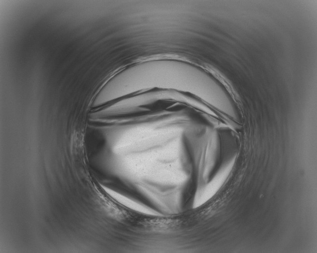 X0000082711193200702161807