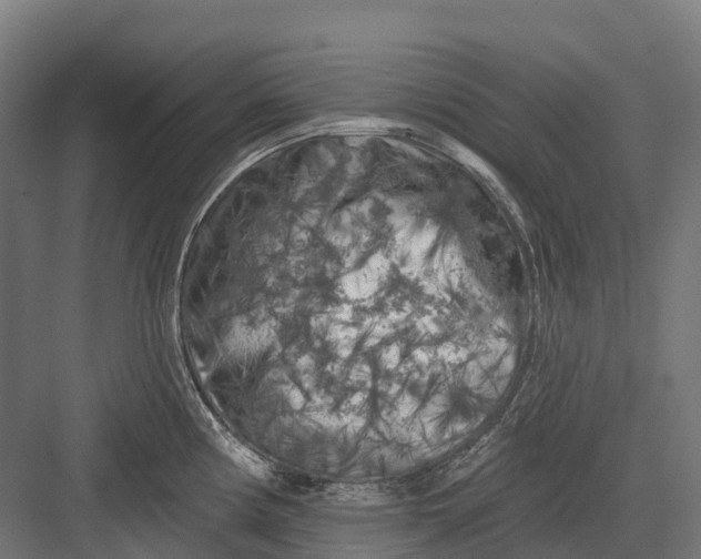 X0000082711194200702161807