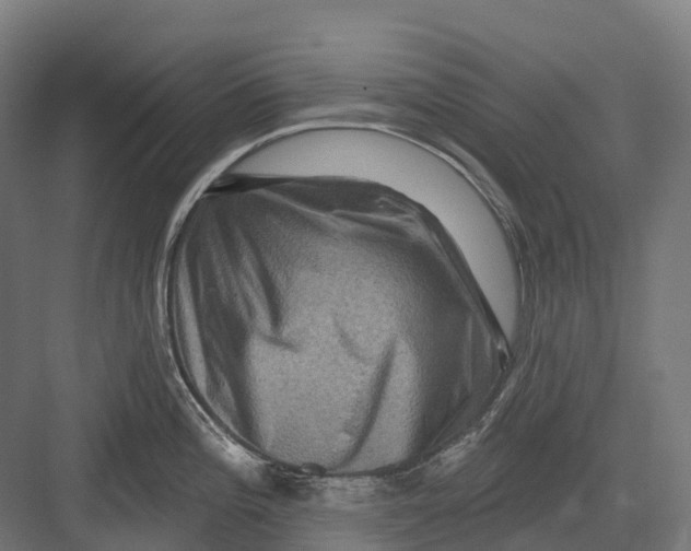 X0000082711196200702161807