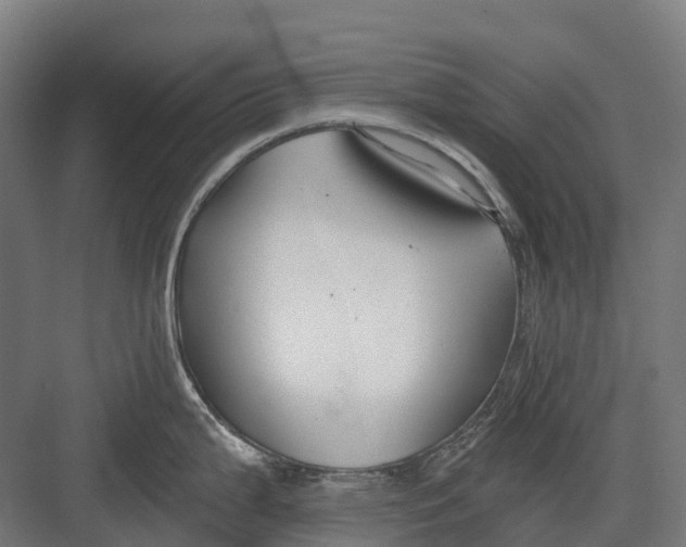 X0000082711199200702161807