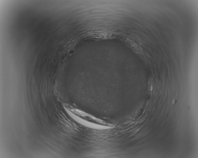 X0000082711202200702161807