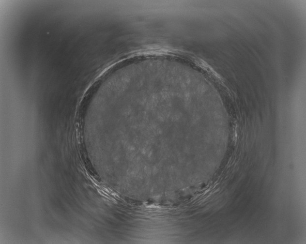 X0000082711208200702161807