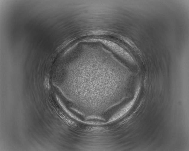 X0000082711209200702161807