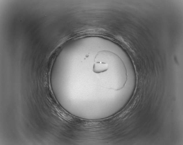 X0000082711211200702161807