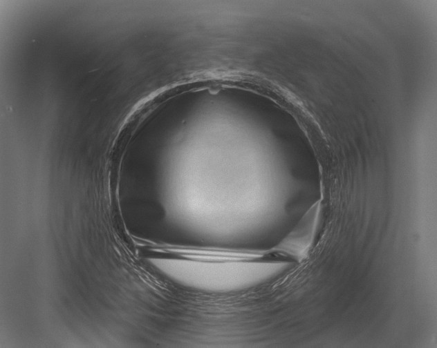 X0000082711214200702161807