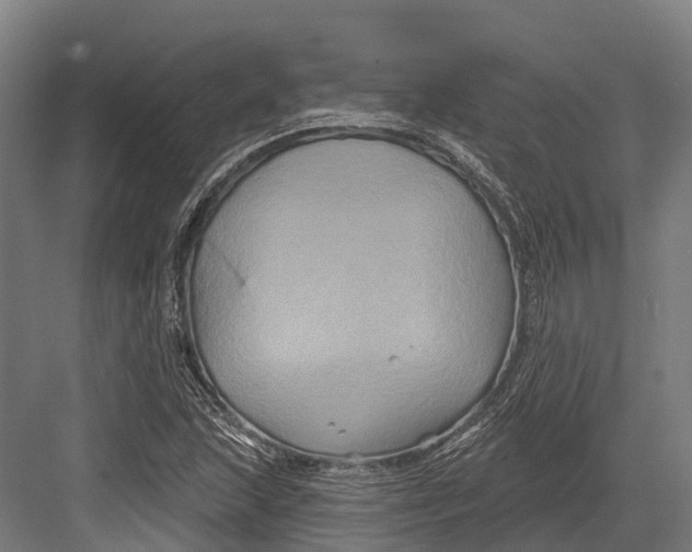 X0000082711215200702161807