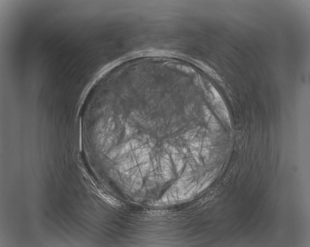 X0000082711223200702161807