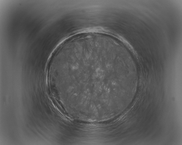 X0000082711224200702161807