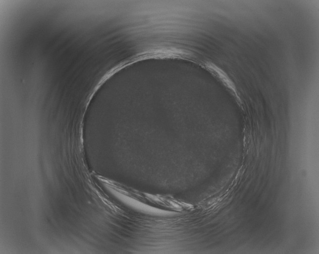 X0000082711226200702161807