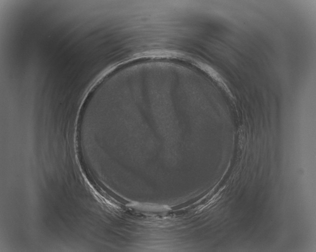 X0000082711229200702161807