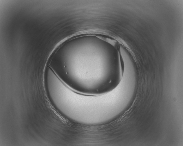 X0000082711230200702161807