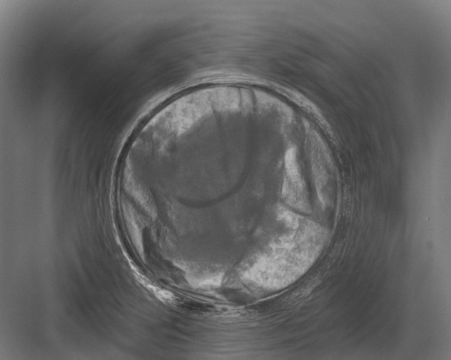 X0000082711231200702161807