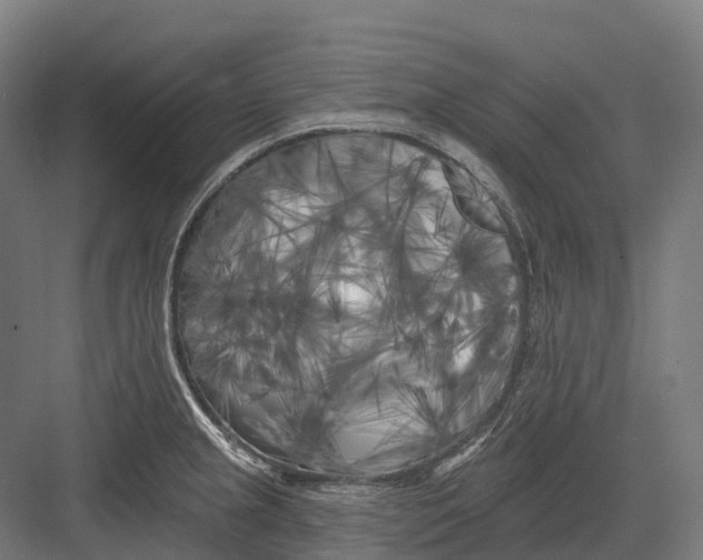 X0000082711237200702161807