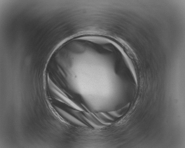 X0000082711238200702161807