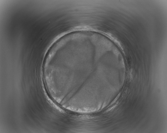 X0000082711239200702161807