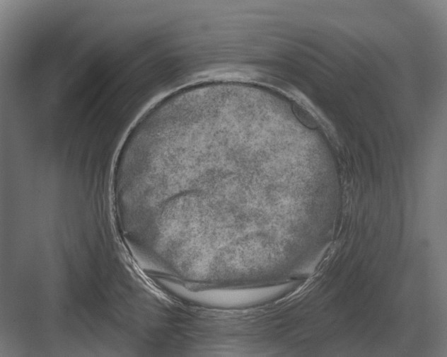 X0000082711240200702161807