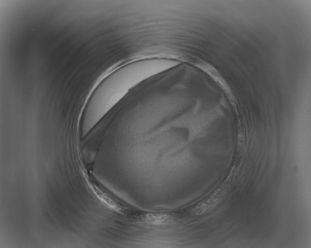 X0000082711242200702161807