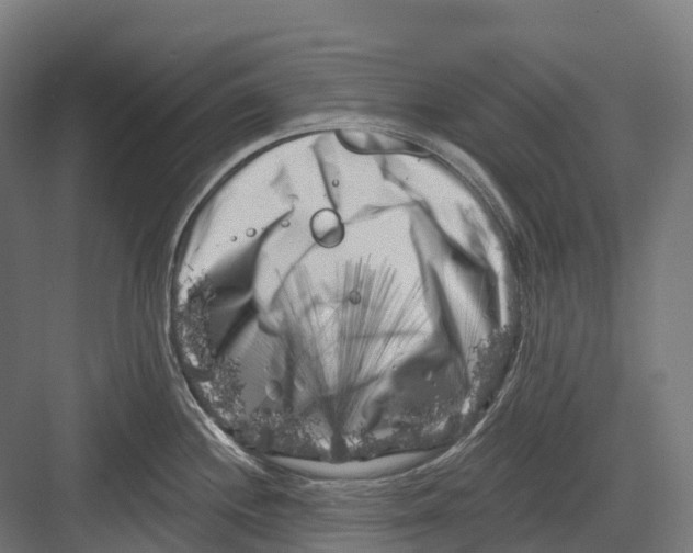 X0000082711244200702161807