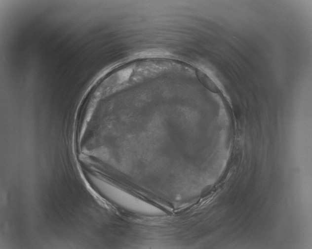 X0000082711245200702161807