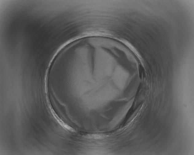 X0000082711246200702161807