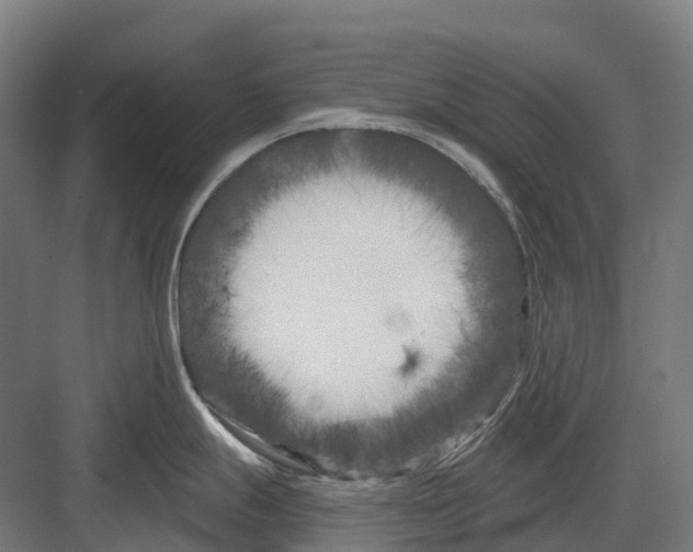 X0000082711247200702161807