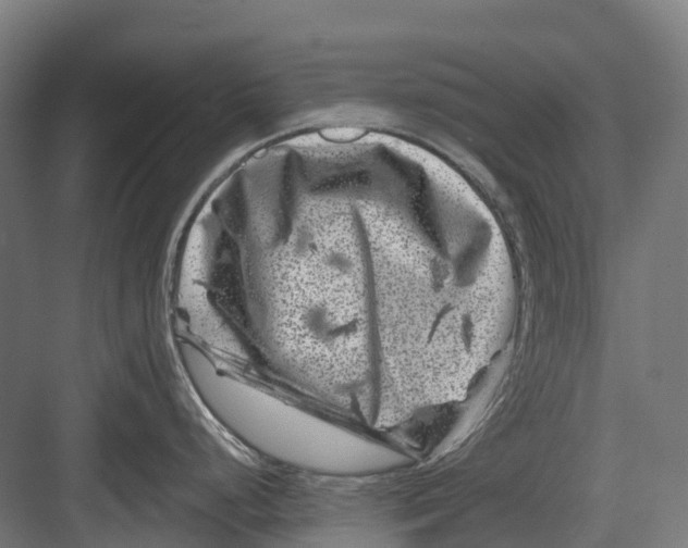 X0000082711248200702161807