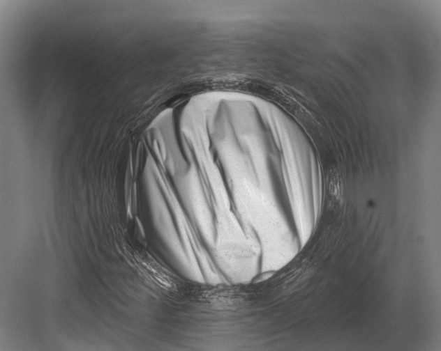 X0000082711252200702161806