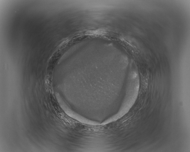 X0000082711254200702161806