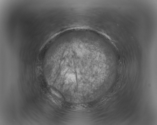 X0000082711255200702161806