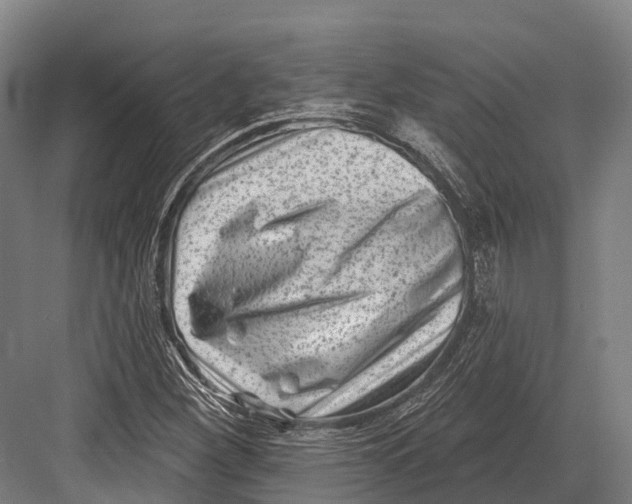 X0000082711260200702161806