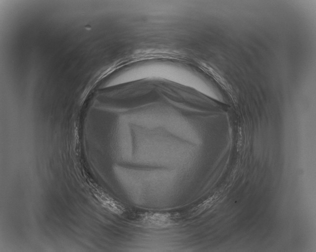 X0000082711261200702161806