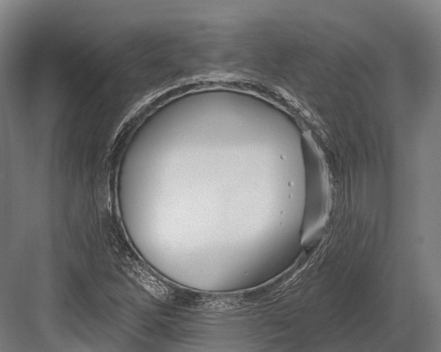 X0000082711262200702161806