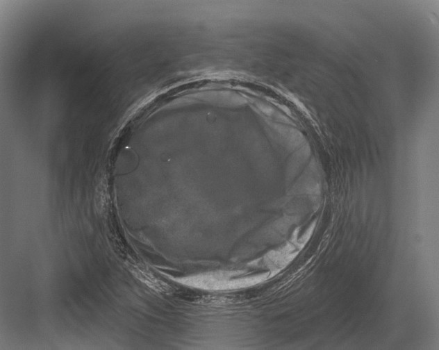 X0000082711263200702161806