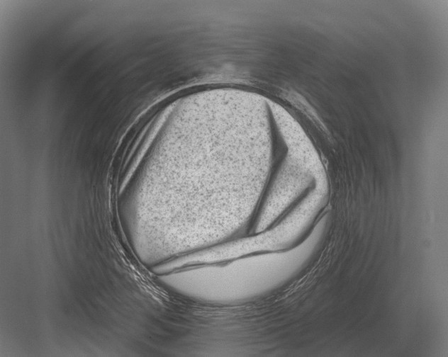 X0000082711268200702161806