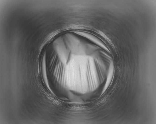 X0000082711269200702161806