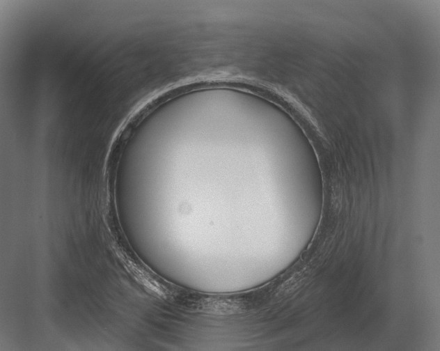 X0000082711270200702161806