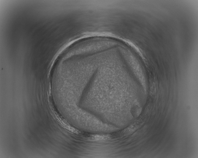 X0000082711271200702161806