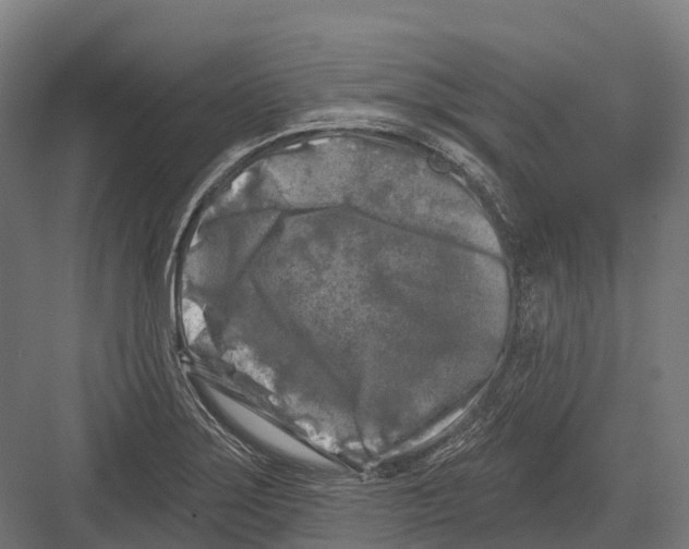 X0000082711275200702161806