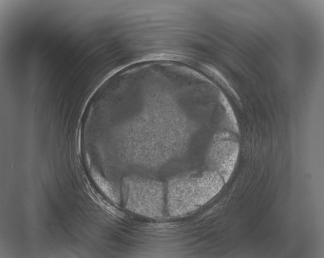 X0000082711276200702161806