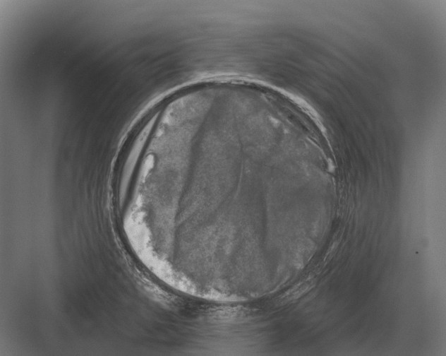 X0000082711279200702161806