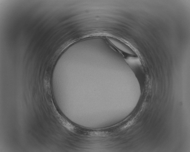 X0000082711281200702161806