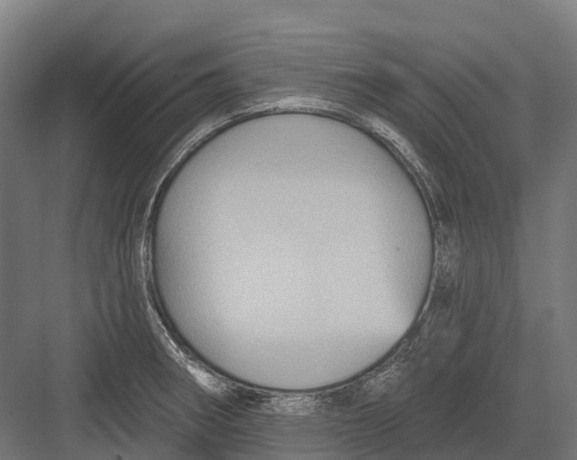 X0000082711282200702161806