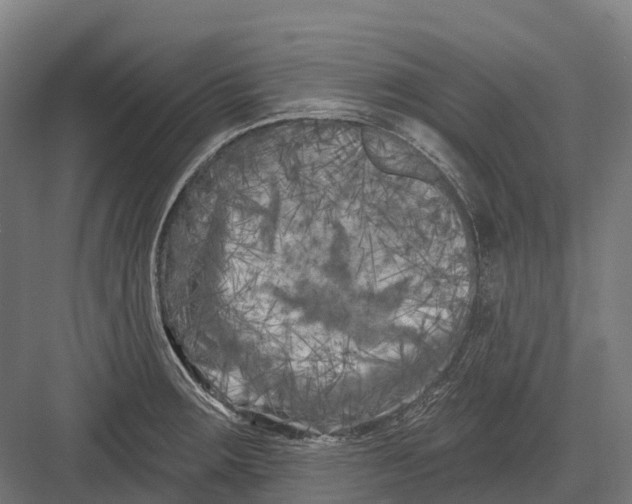 X0000082711283200702161806