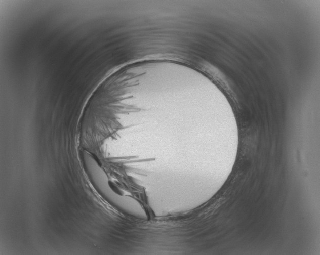 X0000082711284200702161806