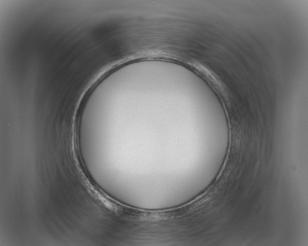 X0000082711286200702161806