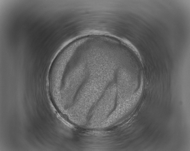 X0000082711287200702161806