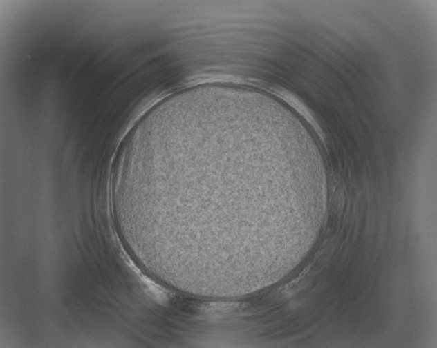 X0000082711290200702161806