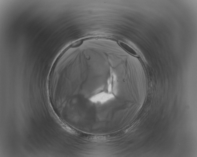 X0000082711291200702161806