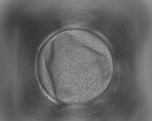 X0000082711294200702161806