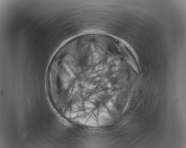 X0000082711295200702161806